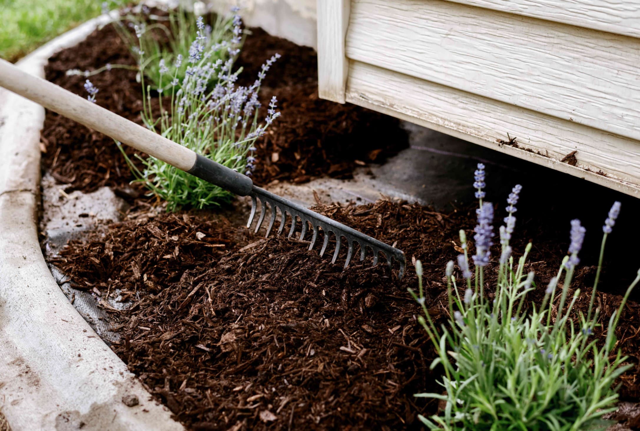 Mulching Services