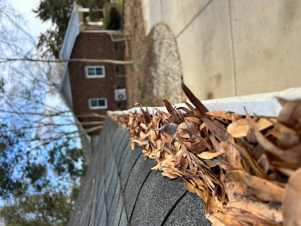 Charlotte gutter cleaning before and after by Rooster Property Care