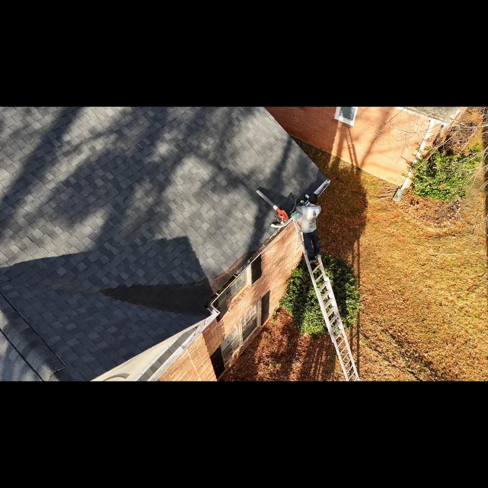 Full gutter before cleaning